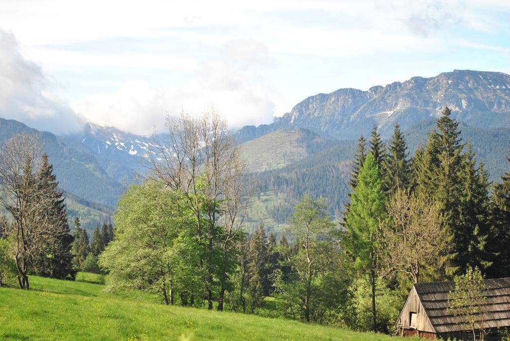 Apartamenty Carpe Diem Kościelisko Esterno foto